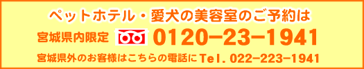 お問い合わせはフリーダイアル0120-23-1941まで